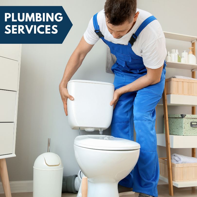 Plumbing Company in Alto, MI